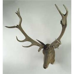 CARVED WOOD STAG HEAD TROPHY MOUNT