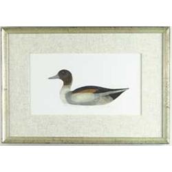 LAWRENCE SNYDER (American, 20th Century) “1936 WARD PINTAIL DECOY”