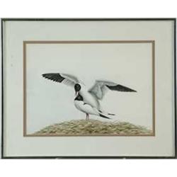 BOBBY J. MALONE (American, 20th Century) PAIR OF TERNS