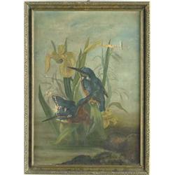 UNSIGNED (American, 20th Century) KINGFISHERS