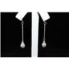 Image 1 : Dazzling Dangling Silver Earrings (4E)