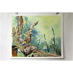 Hand Signed Limited Edition Lithograph Budden