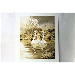 Hand Signed Limited Edition Forrest