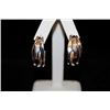 Fine T & Co. Hoop Silver Earrings (76E)