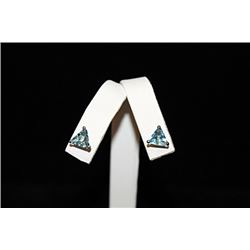 Elegant Blue Gemstone Silver Stud Earrings (52E)