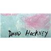 Image 3 : David Hockney - Pool