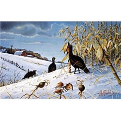 Print "Wild Turkey Feedin"  Les C. Kouba