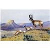 Image 1 : Print "Prong Horns Working the Ridge"  Les C. Kouba