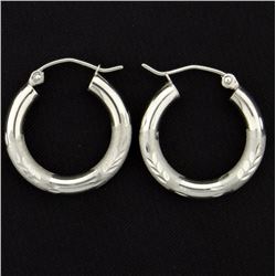 Hoop Earrings
