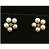 Image 1 : Pearl and Diamond Earrings