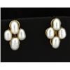 Image 1 : Oval Shaped Pearl Earrings