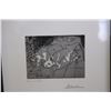 Image 2 : FRAMED PRINT, PABLO PICASSO, APPRAISAL OF $13500USD, ETCHING WITH AQUATINT AND DRY POINT ON BFK