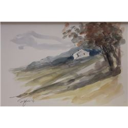 "HIDDEN HOUSE"  BY MICHAEL SCHOFIELD