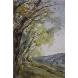 "WOODS IN SPRING" BY MICHAEL SCHOFIELD