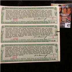 Un-cut Three Note Sheet "Walkill Stump and Land Clearing District…Pay to the Bearer at the Florida N