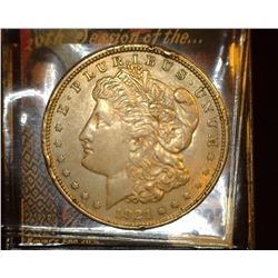 1921 P U.S. Morgan Silver Dollar, EF, rim dings.