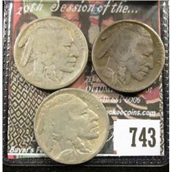 1918 F Dark, 1918 D G &1918 S G Buffalo Nickels.