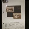 Image 1 : Pair of RW9 1942 U.S. Department of Agriculture Migratory Bird Stamps. One used & one without signat