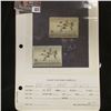 Image 1 : Pair RW12 1945 U.S. Department of Agriculture Migratory Bird Stamps. One slightly dirty. Both with p