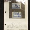 Image 1 : Pair of RW19 1952 U.S. Department of Agriculture Migratory Bird Stamps, one signed, other not signed