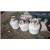 Image 2 : Three 20 LB propane tanks