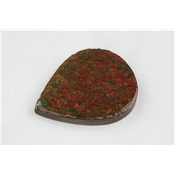 21.60ct Genuine Canadian Ammolite Gemstone RV$ 300