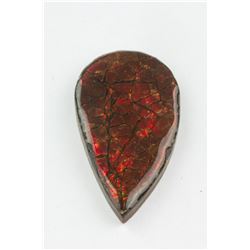 26.75ct Genuine Canadian Ammolite Gemstone RV$ 300