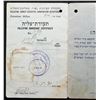 Image 3 : PALESTINE JEWISH IMMIGRATION CERTIFICATES/DOCUMENTS