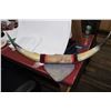 Image 1 : Set of Animal Horns