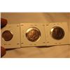 Image 2 : Nfld. One Cent Coins (3) 1913; 1919; 1942