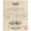 Image 1 : Millard Fillmore