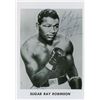 Image 1 : Sugar Ray Robinson