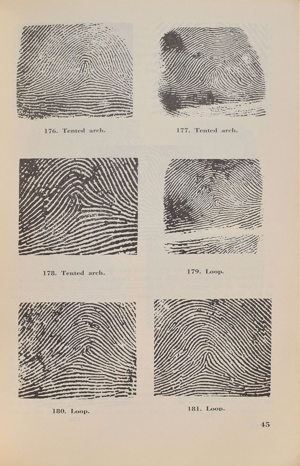 Fbi Science Of Fingerprints Book Fbi Science Of Fingerprints Book