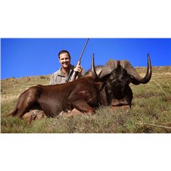 South Africa -Limcroma Safaris