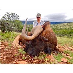 South Africa - Southern Cross