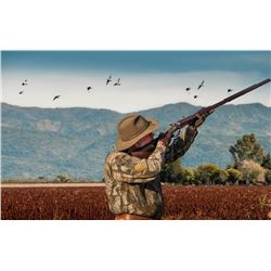 Argentina - Oc Outfitters