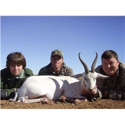 JP Big Game Safaris - South Africa