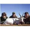 Image 1 : JP Big Game Safaris - South Africa