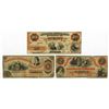 Image 1 : Augusta Insurance & Banking Co., 1860-61 Obsolete Banknote Trio.