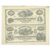 Image 2 : Bank of Michigan, ca. 1859-1860's Remainder Sheet Pair