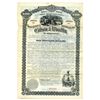 Image 1 : Gilson & Woodfin, 1884 Specimen Bond