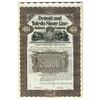 Image 1 : Detroit and Toledo Shore Line Railroad Co., 1899 Specimen Bond