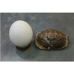 OSTRICH EGG ON STAND AND TURTOISE SHELL