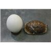Image 1 : OSTRICH EGG ON STAND AND TURTOISE SHELL