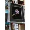Image 1 : OWL BY KEITH FOCANK #23699