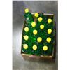 Image 1 : LOT OF NEW ALOE VERA AFTER SUN GEL