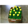 Image 2 : LOT OF NEW ALOE VERA AFTER SUN GEL