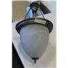 Image 1 : BRUSHED NICKLE FROSTED GLOBE LIGHT FIXTURE
