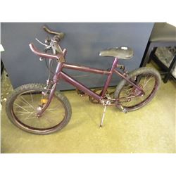 KIDS MOUNTAIN BIKE WITH STAND