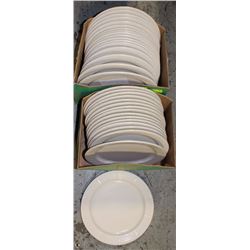 2 BOXES W/ 33 PLATES